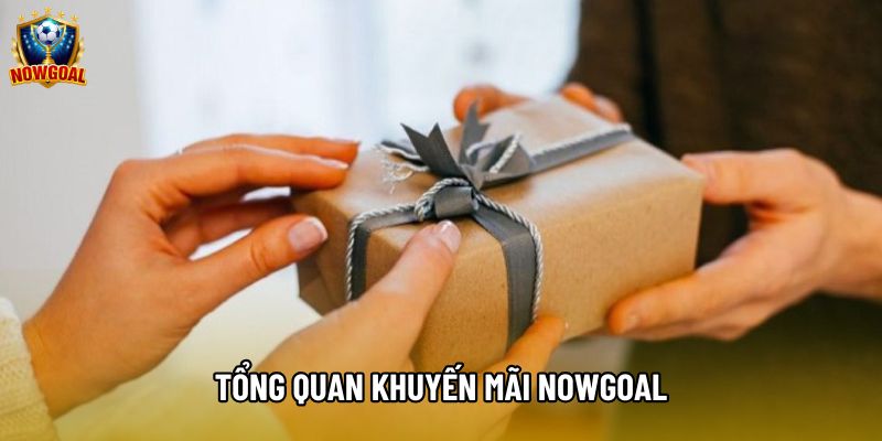 Tổng quan khuyến mãi Nowgoal Tổng quan khuyến mãi Nowgoal